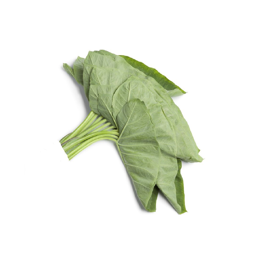 Arvi Patha (Taro Leaves) 250g india 🇮🇳